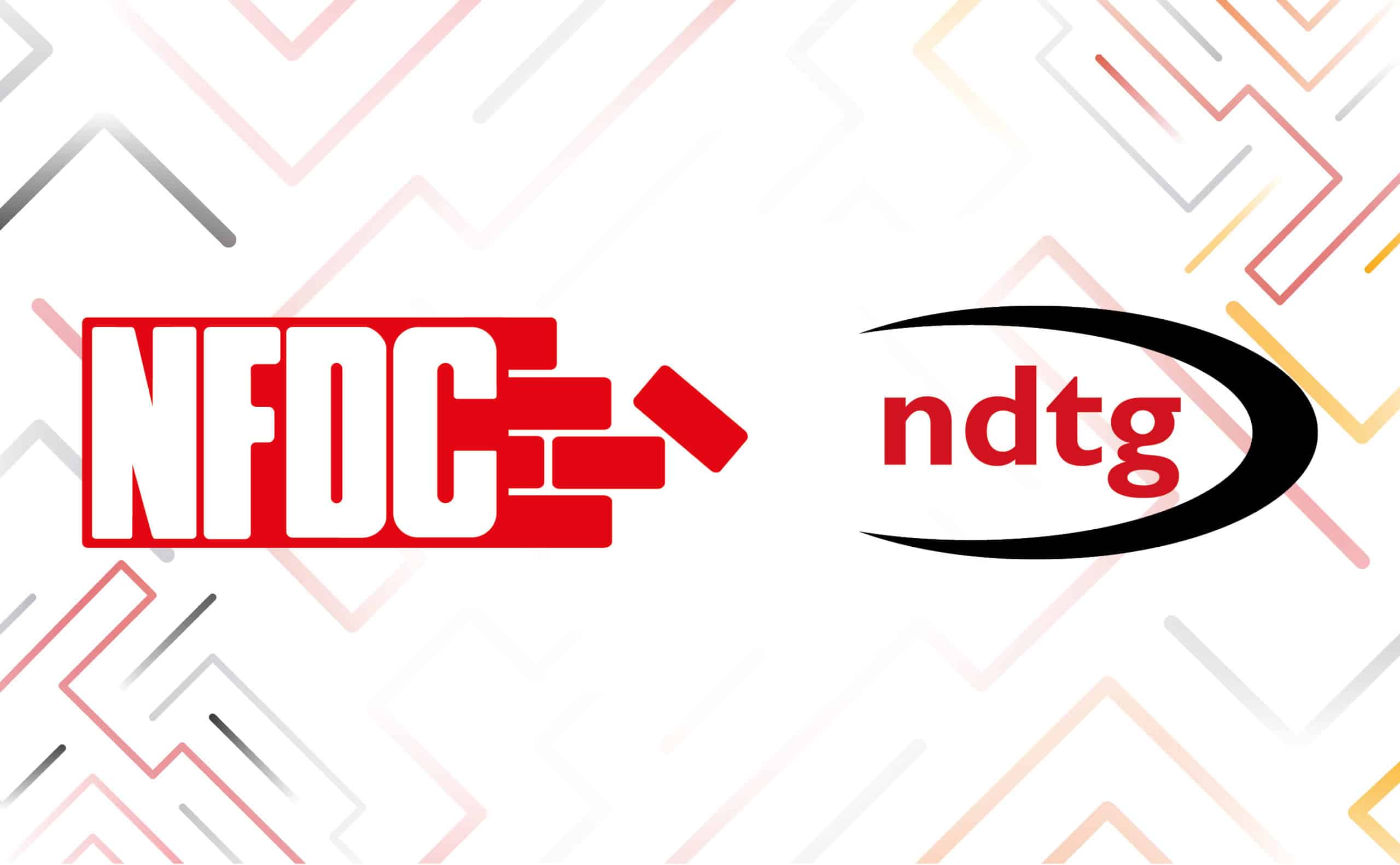 Job Opportunity – CEO of NFDC & NDTG